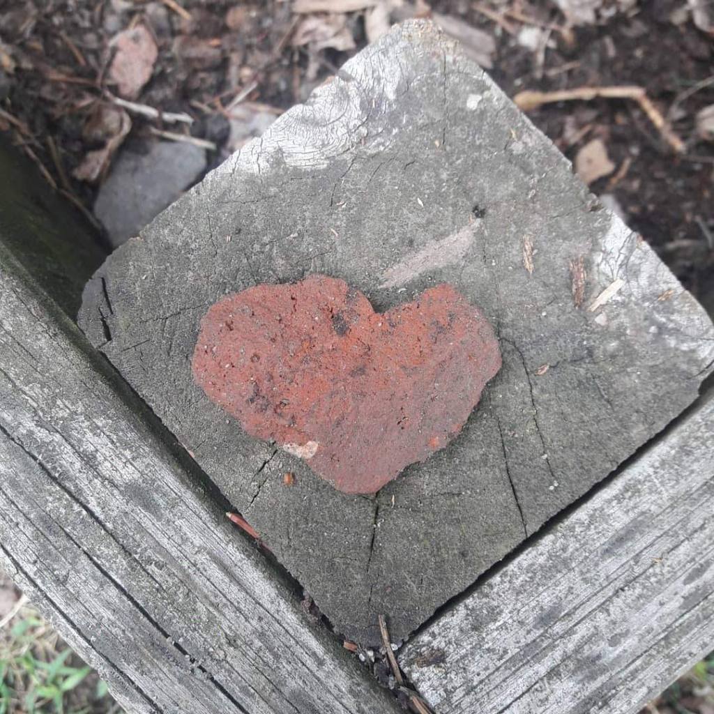 Worthy Is the Lamb … to Receive Wisdom