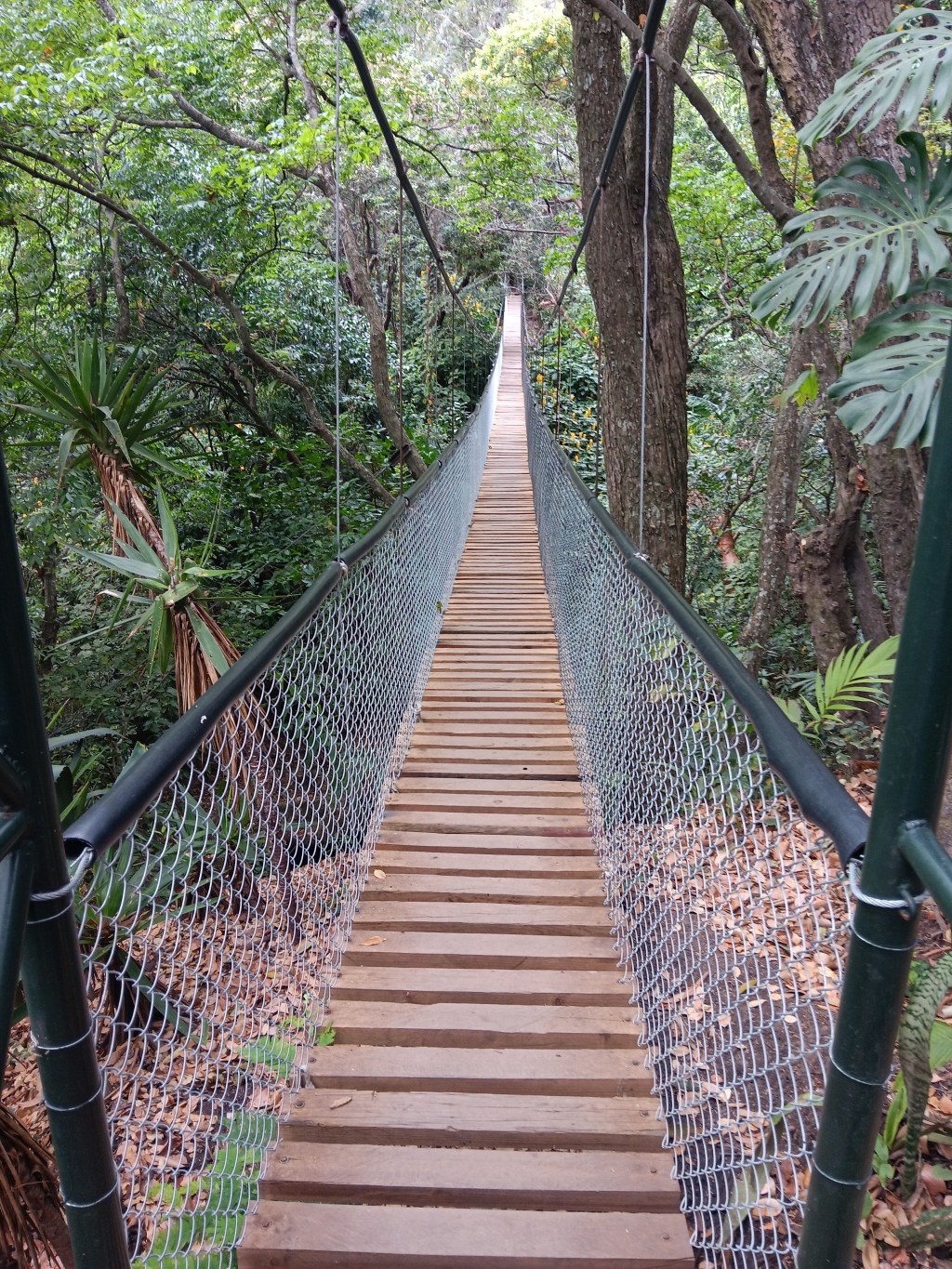 Perilous Complacency