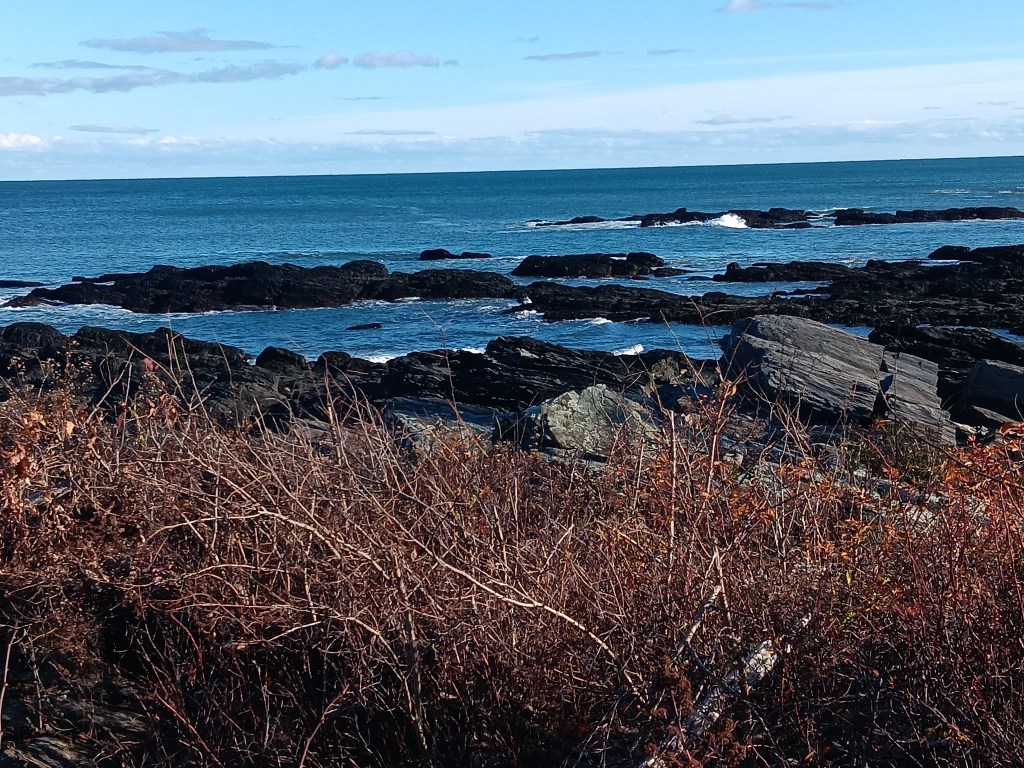 The Nature of the&nbsp;Beast